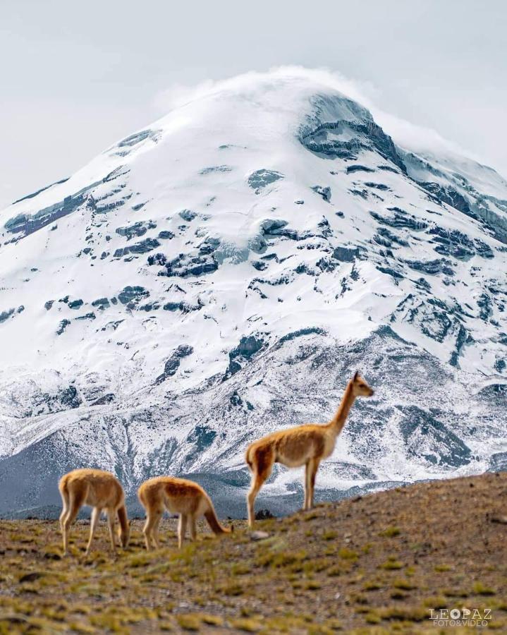 Hotel Bonaventure Quito Exteriér fotografie